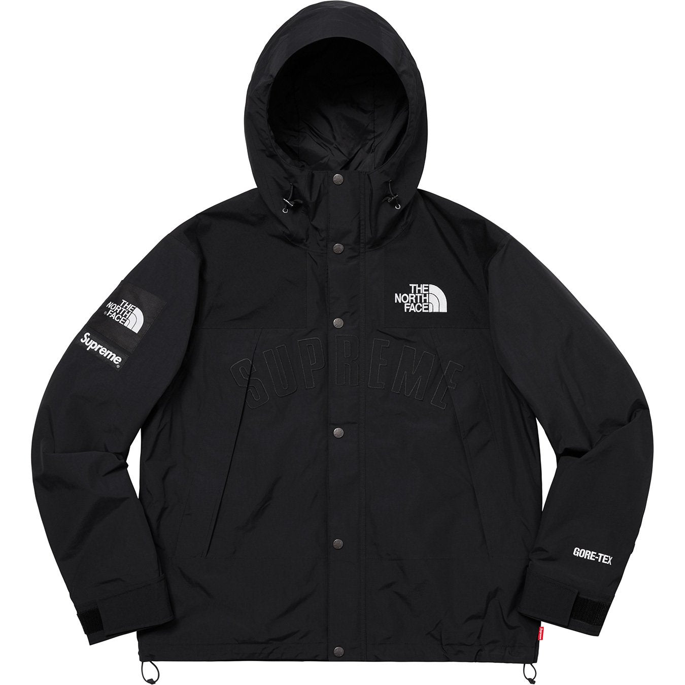 Supreme The North Face Arc Logo Mountain Parka Black PENG MARKET