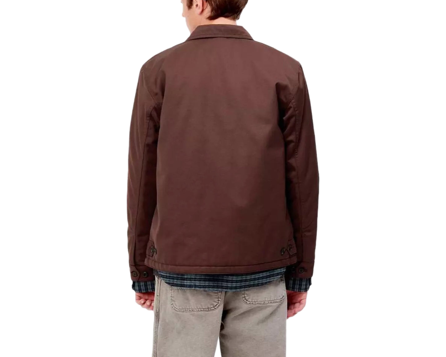 Carhartt WIP Modular Jacket Winter Boxwood